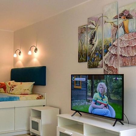 Stilingi Apartamentai Su Virtuve Traku Miesto Centre Troki Zewnętrze zdjęcie