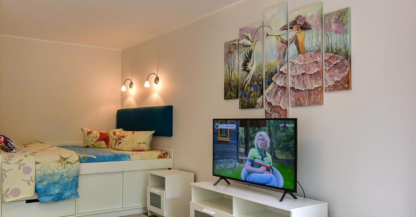 Stilingi Apartamentai Su Virtuve Traku Miesto Centre Troki Zewnętrze zdjęcie
