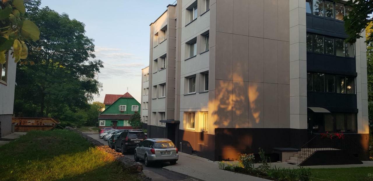 Apartament Stilingi Apartamentai Su Virtuve Traku Miesto Centre Troki Zewnętrze zdjęcie